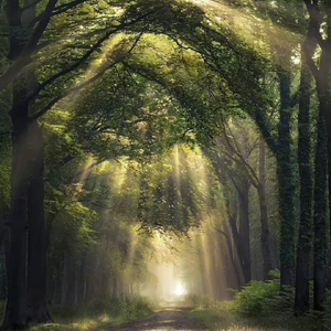 开腿爆❌乳液狂飙原神
